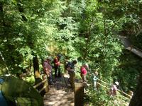 DSCN0997 Wanderung zur Gutmannshöhle