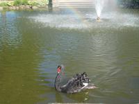 DSCN1045 mein Name ist Graf