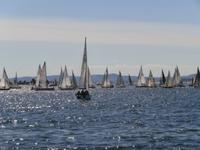 Segelwettbewerb im Oslofjord