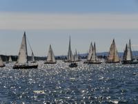 Segelwettbewerb im Oslofjord