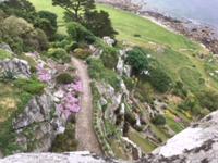 Garten St. Michael's Mount