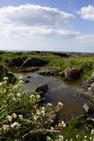 Giants Causeway