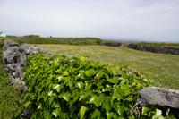 Aran-Insel Inishmore
