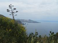 Lipari
