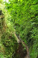 Südengland - Isle of Wight - Shanklin Chine