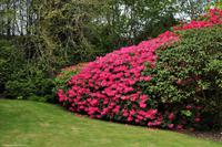 Südengland - Lanhydrock House & Gardens