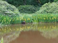 In Brunngarden Ronneby