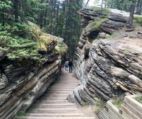 Ein begehbares Flussbett