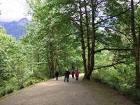Spaziergang auf aufgelassener Eisenbahntrasse