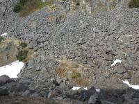 Der Pfad zu den Goldfelder