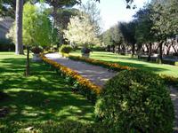 in den Vatikanischen Gärten