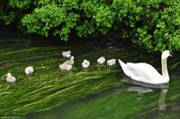 Südengland - SAD - Eberhardt-Travel - Reiseleiter Martin Büchner-0468