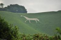 Südengland - SAD - Eberhardt-Travel - Reiseleiter Martin Büchner-3046