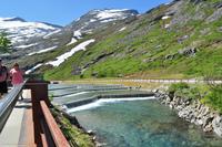 Norwegen - Wunderwelt der Fjorde - Eberhardt-Travel - Reiseleiter Martin Büchner-4354