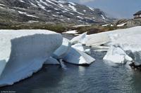 Norwegen - Wunderwelt der Fjorde - Eberhardt-Travel - Reiseleiter Martin Büchner-5150
