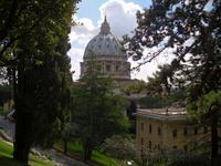 in den Vatikanischen Gärten