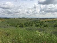 173 Rundwanderung Ville di Corsano