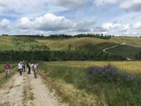 180 Rundwanderung Ville di Corsano