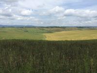 183 Rundwanderung Ville di Corsano