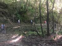 203 von Montalcino nach Sant Antimo