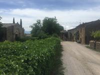 216 von Montalcino nach Sant Antimo