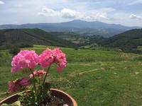 219 Blick vom Weingut La Magia auf Sant Antimo