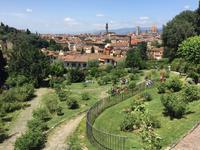 322 Florenz - Blick vom Rosengarten