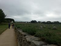 012. Menhire von Carnac