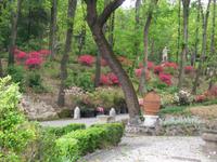 in den Vatikanischen Gärten