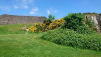 Auf Stirling Castle