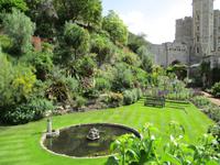 Windsor