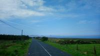 DSC_0236mayo (2)