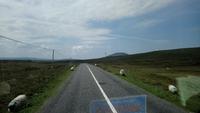DSC_0238cmayo (12)