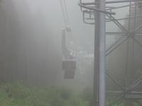 Nebel auf der Grütsch- Alp