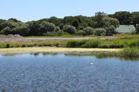 Katamaran-Bootsfahrt im Delta der Swine - Insel Karsibor