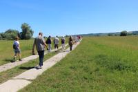 Spaziergang in die Oderauen im Nationalpark Unteres Odertal