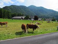 Salzkammergut
