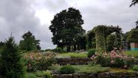 West Deans Gardens 20180617 140811