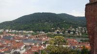 Heidelberg von oben