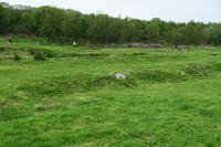 Hier standen die Gebäude