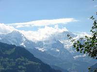 vom Harder Kulm Blick in die Jungfrau- Region