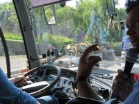 Singlereise Kroatien - Reiseleiter Veljko