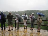 Singlereise Kroatien - Nationalpark Plitwitzer Seen