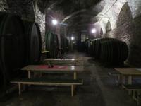 Steiermark - Schloss Seggau - Weinkeller