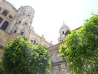 Malaga (15)