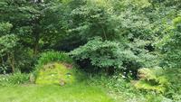 Lost Gardens of Heligan 20180619 155354
