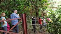 Lost Gardens of Heligan 20180619 161438
