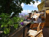 Reise ins Brixental/Tirol - Söll - Traktorfahrt zum Gruberhof