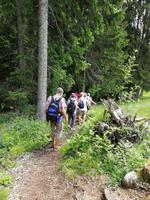 Reise ins Brixental/Tirol - Söll - Hochbrixen