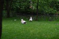 tierische Eindrücke